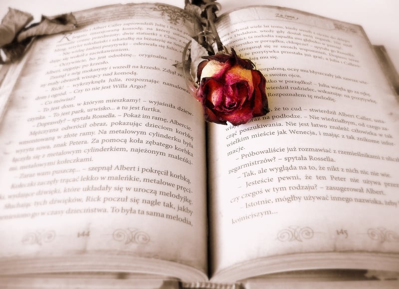 Reading Book